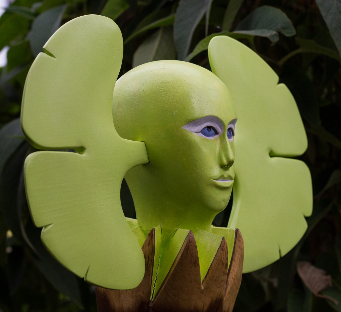 Flora 1