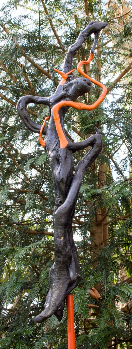 Geranktes