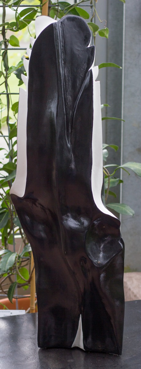 Große Schwarzweiße