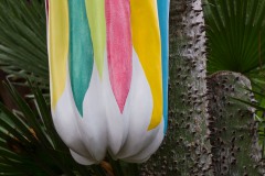 Exotische Frucht