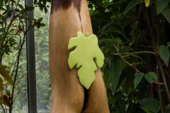 Flora 1