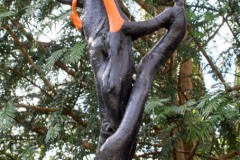 Geranktes