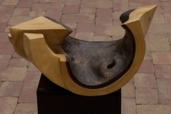 Segment 1