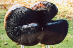 Uni sono